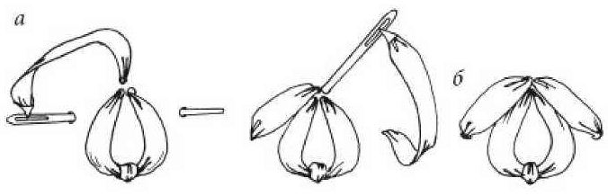 Петелька з прікрепкой і прямим стібком - може використовуватися як для формування бутонів квіток, так і в якості окремого декоративного елемента